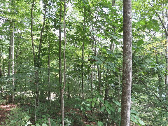 4th image of 0 Chaney Ridge Rd
