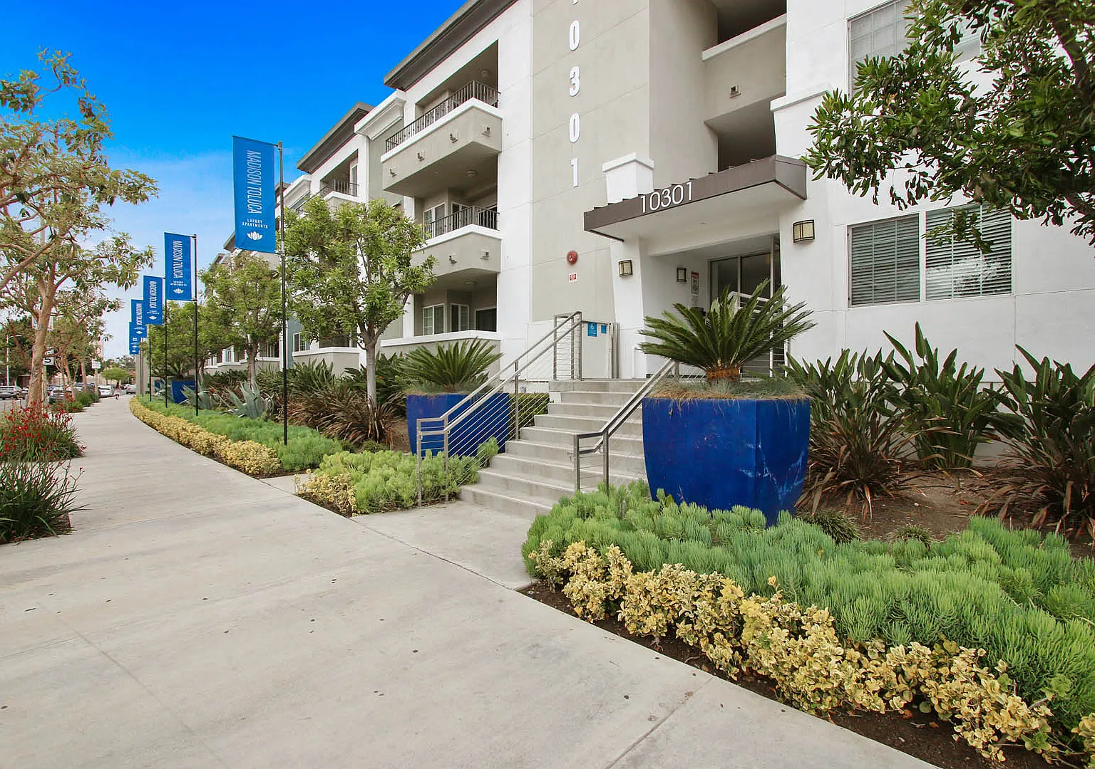 Madison Toluca — Photo 2