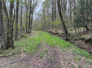 Kansas Hollow Rd, Bolivar, NY 14715
