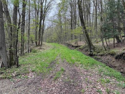 Kansas Hollow Rd, Bolivar, NY, 14715