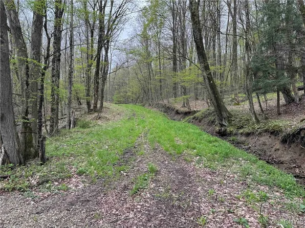 Kansas Hollow Rd, Bolivar, NY 14715