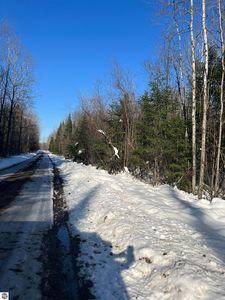 Irvin Rd, Kingsley, MI, 49649