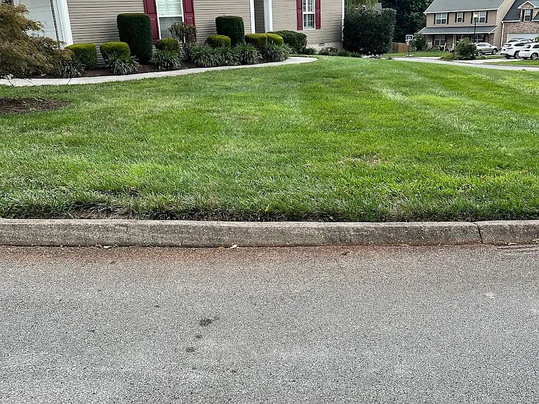 13051 Sanderling Ln — Photo 3