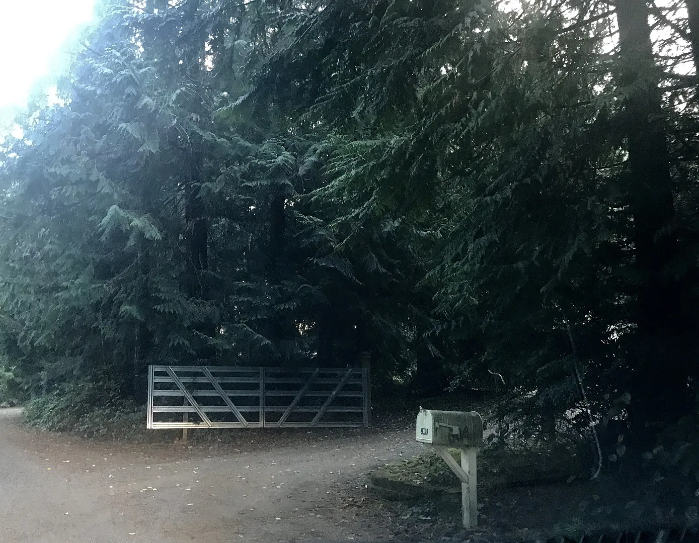 Private Poulsbo Woodsy Home — Photo 4