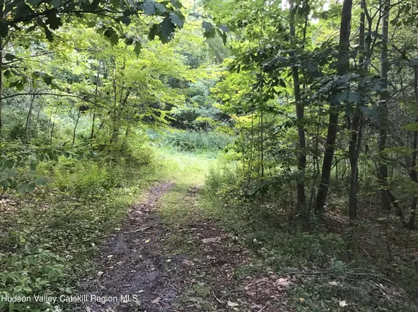 0 Silas Lake Road, Fleischmanns, NY 12430