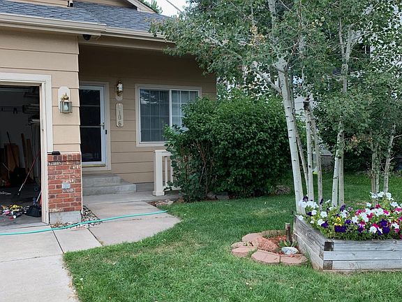 Low maintenance Yard