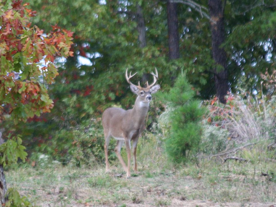 1st image of 68858 Hwy259