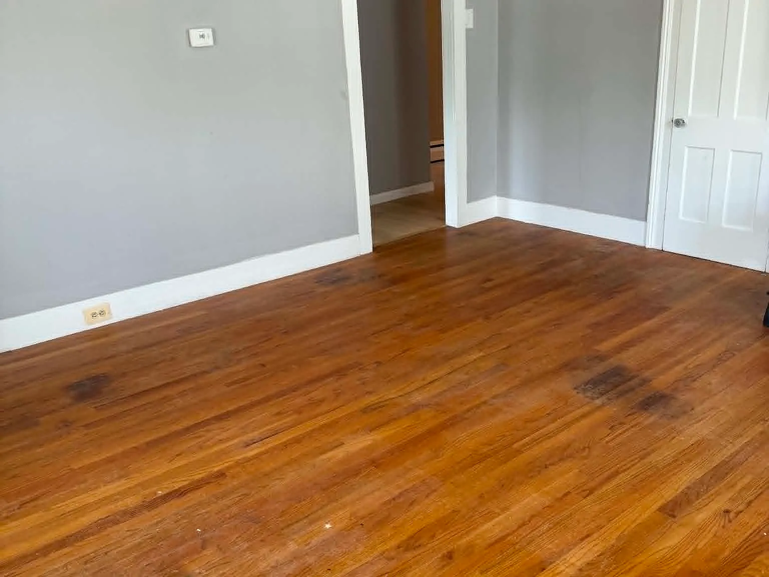 1 bed, $1,250 — Photo 3
