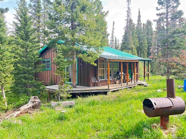 20 Beaver Drag, Arlington, WY 82083