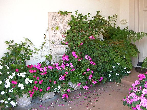 5th image of 12667 Belle Fleur Way