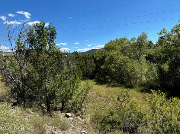 W 10th St, Eagar, AZ 85925