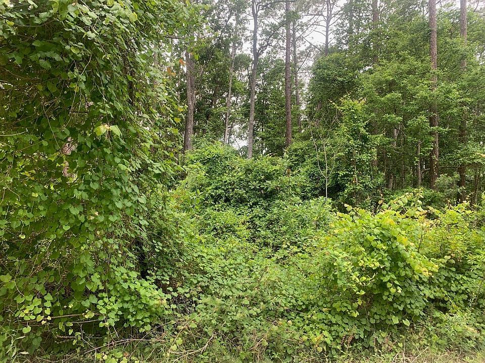 1st image of 123 Coot Road