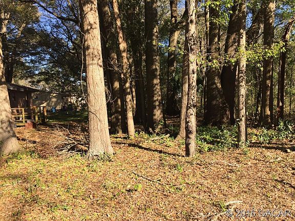 3rd image of 14227 NW 142nd Pl