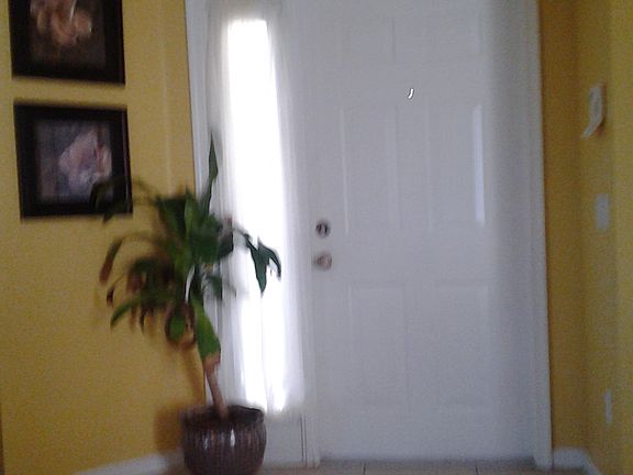 3rd image of 5011 Starblaze Dr