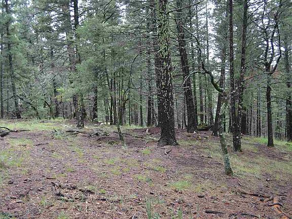 5th image of 40-40 Elk Spgs #41