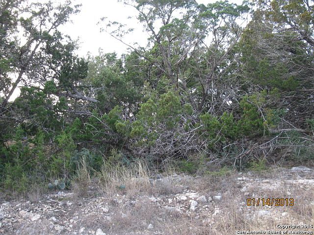 1st image of 308 Paradise Hls