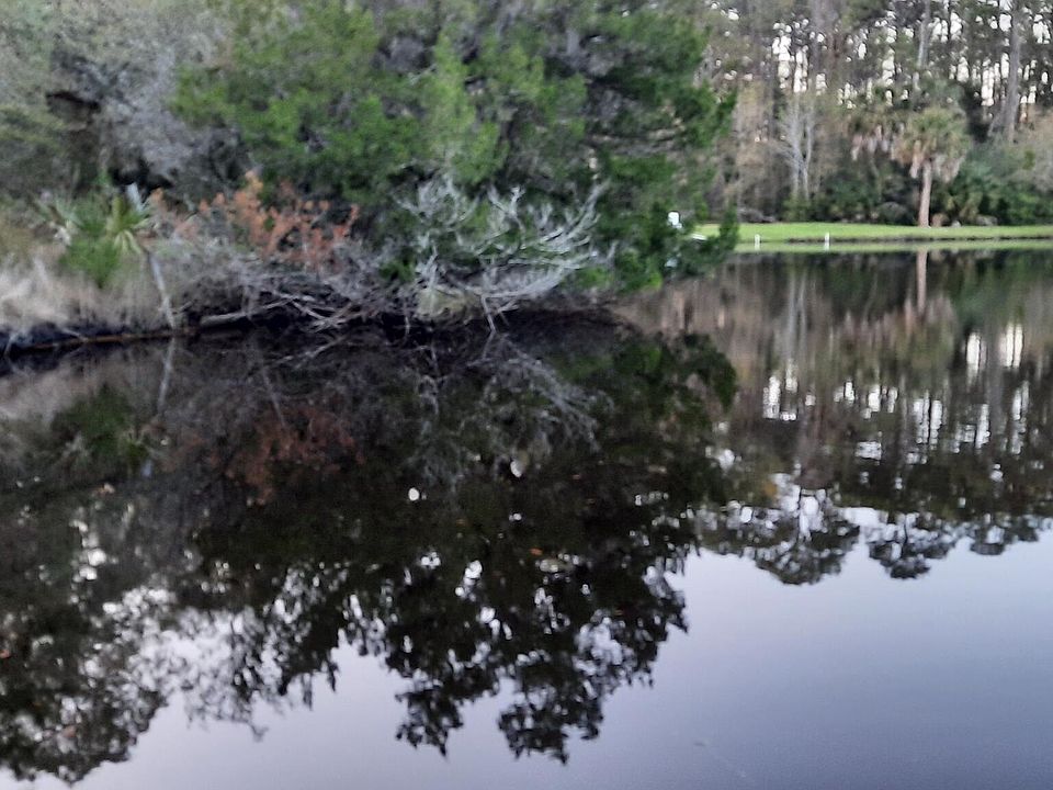 0 PINEY ISLAND DR, Fernandina Beach, FL 32034 Zillow