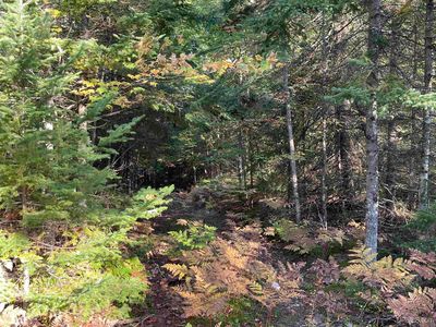 County Road 436 Rd, Gulliver, MI, 49840