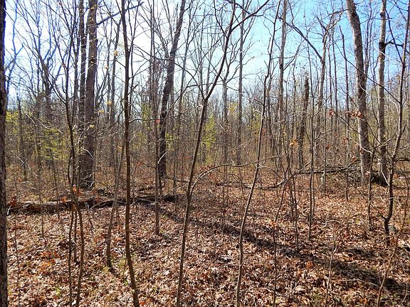 4th image of 0 Skyline Dr Lot 4