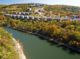 13 Woodpecker Ln, Branson, MO 65616