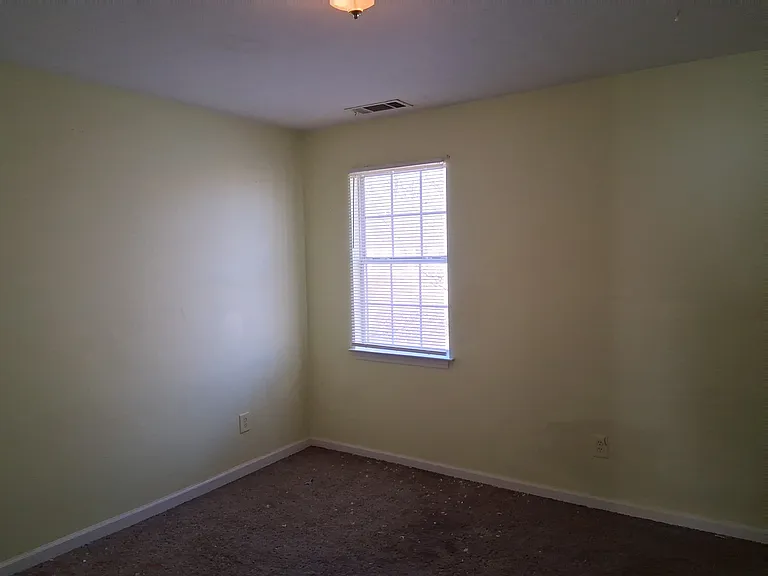 209 E Wilson St #29-1 — Photo 3