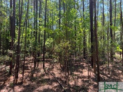0 Blue Jay Rd, Guyton, GA, 31312