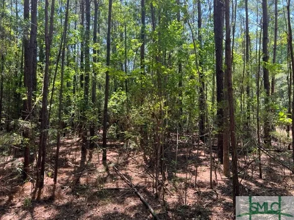 0 Blue Jay Road, Guyton, GA 31312
