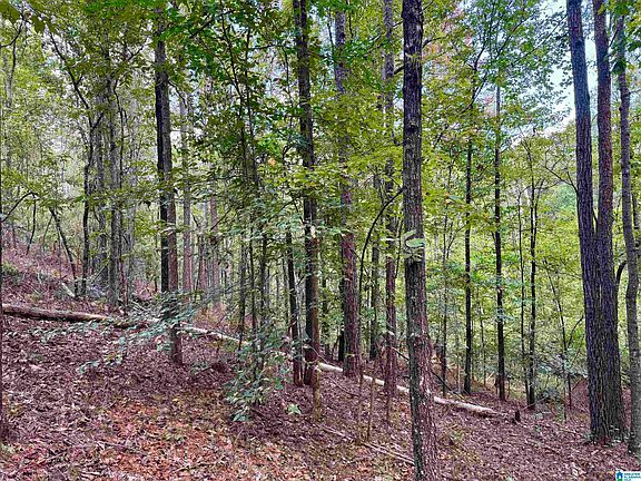 5th image of Lane Branch Rd #19.28