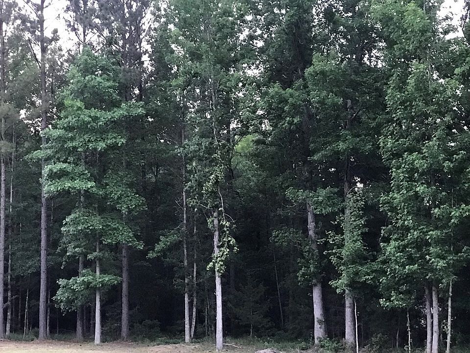 2nd image of Lot 31 Pine Needle Road