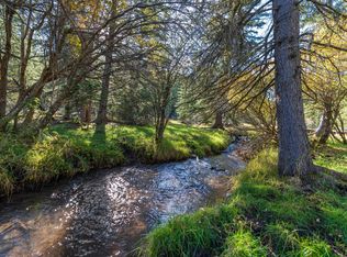 21639 Muddy Flats Ln, Deadwood, SD 57732