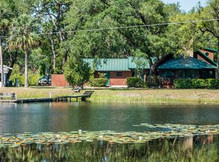 23679 NE 152nd Lane Rd, Salt Springs, FL 32134