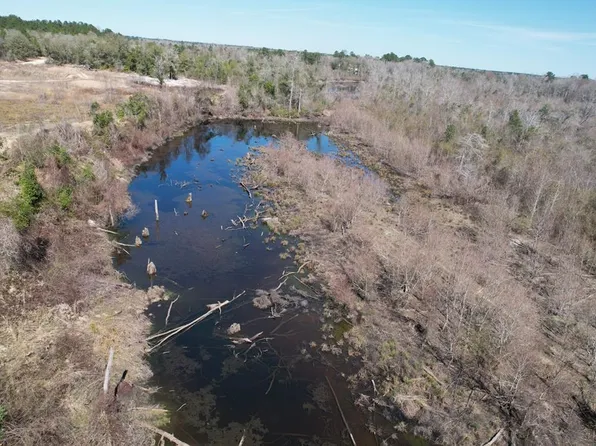 226 Blue Lake Ln, Petal, MS 39465