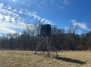 Ridgeview Rd, Chandlersville, OH 43727