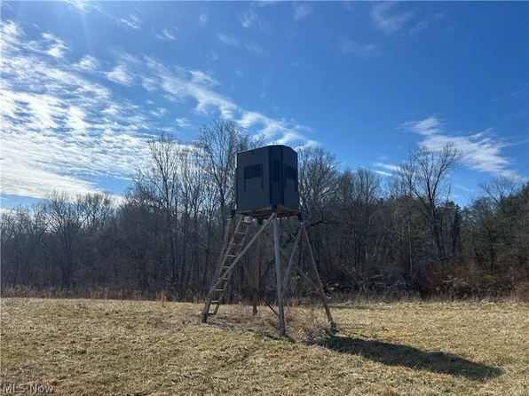 Ridgeview Rd, Chandlersville, OH 43727