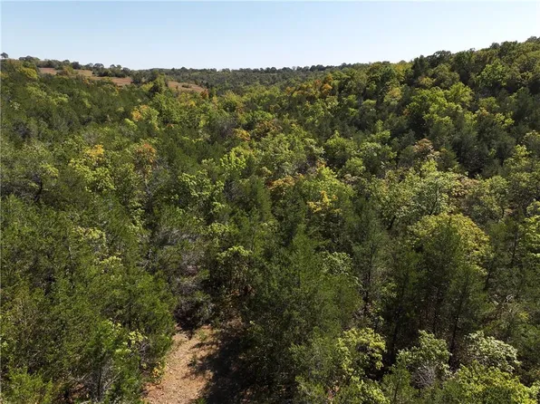 N/a Bear Btm, Lead Hill, AR 72644
