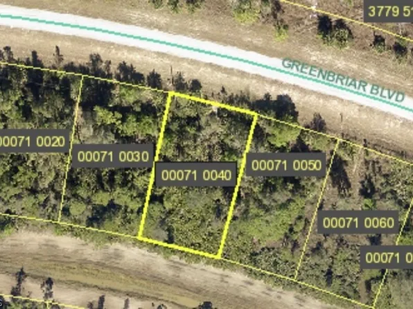 423 Greenbriar Blvd, Lehigh Acres, FL 33972
