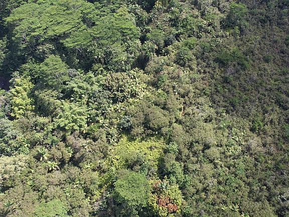 2nd image of Laau Way Lot 39
