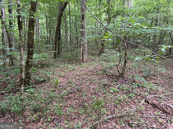 4th image of 1634 Carman Way