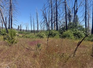 7350 S View Dr, Grizzly Flats, CA 95636
