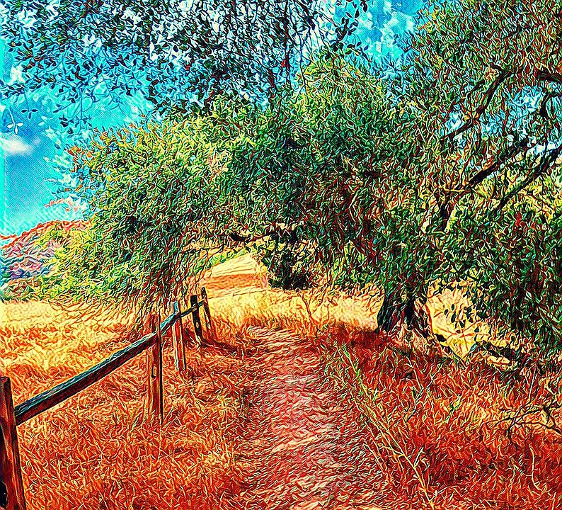 2nd image of 21071 Entrada Rd