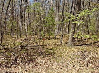 1 Mile Rd, Morley, MI 49336