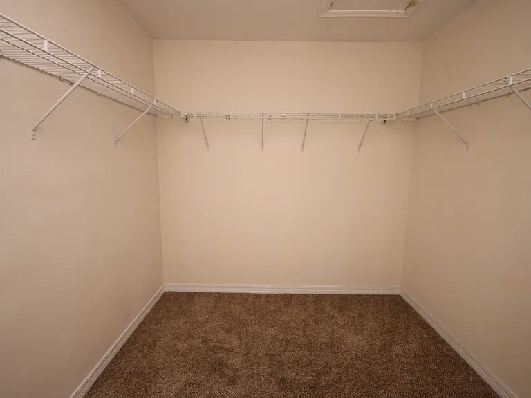 6361 Parakeet Trl — Photo 22