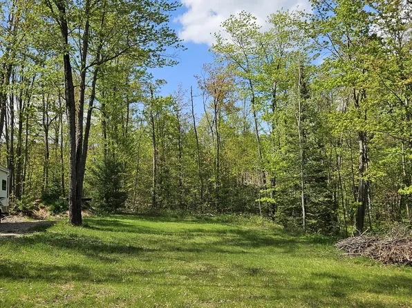 3356 Hillwood Dr, Lewiston, MI 49756