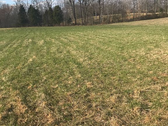 4th image of 378 Trammel Bend Ln