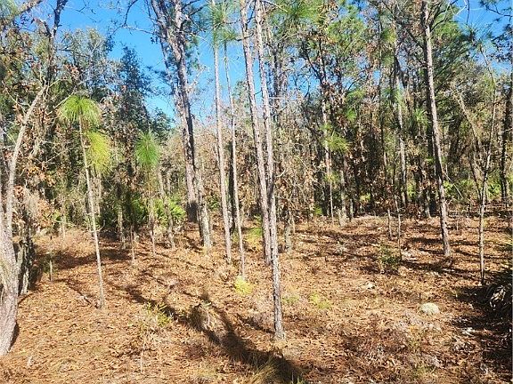 2nd image of 5222 N Smokey Mountain Point