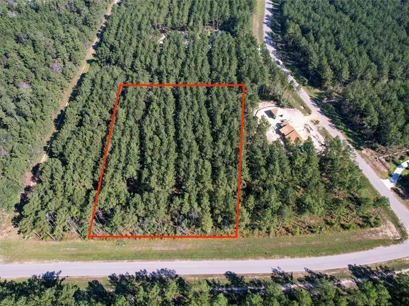 15336 Red Hawk Rd, Willis, TX 77378