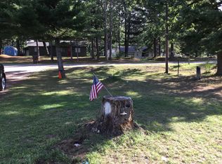 10403 Washington Rd, Saint Helen, MI 48656