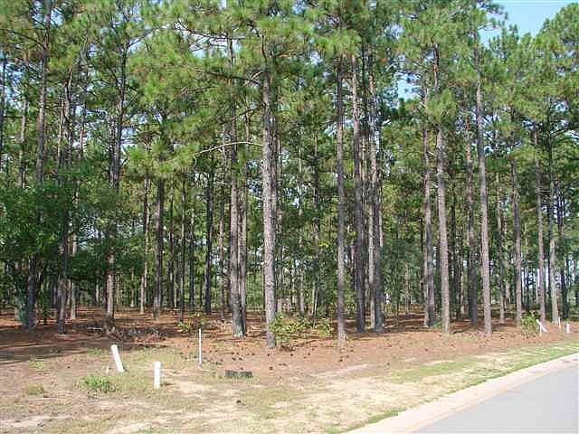 2nd image of TBD Kings Ridge Court