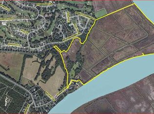 Windsor Green Way Pen Tract #PIG, Georgetown, SC 29440