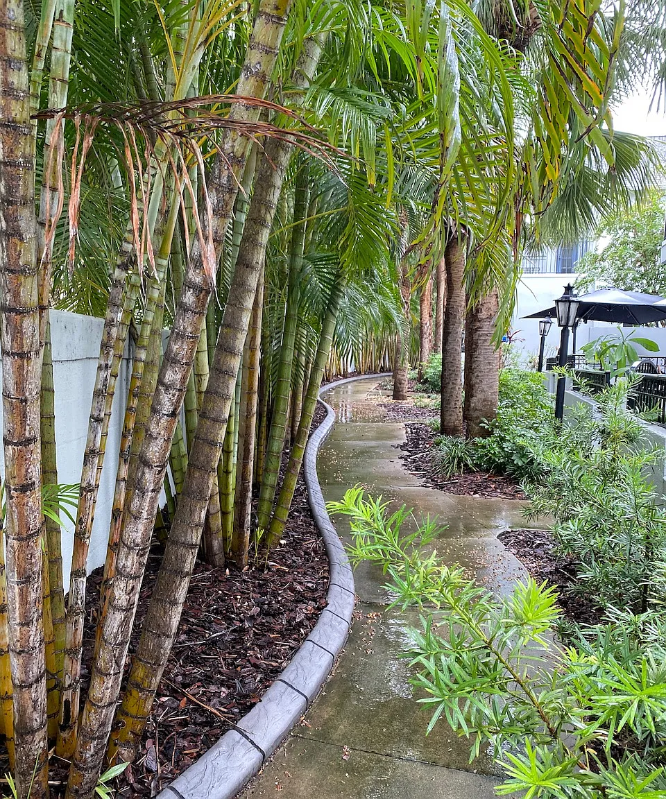 3 bed, 2.5 bath, 1560 sqft, $3,400 — Photo 1